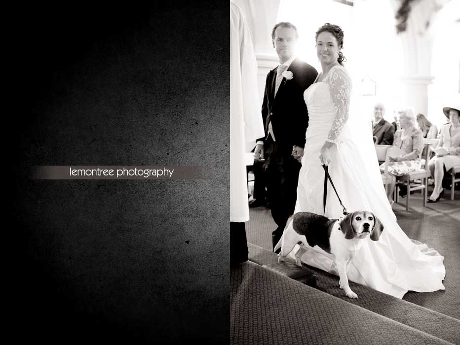 Weddings in Guildford-Photographed by Lemontree Photography 