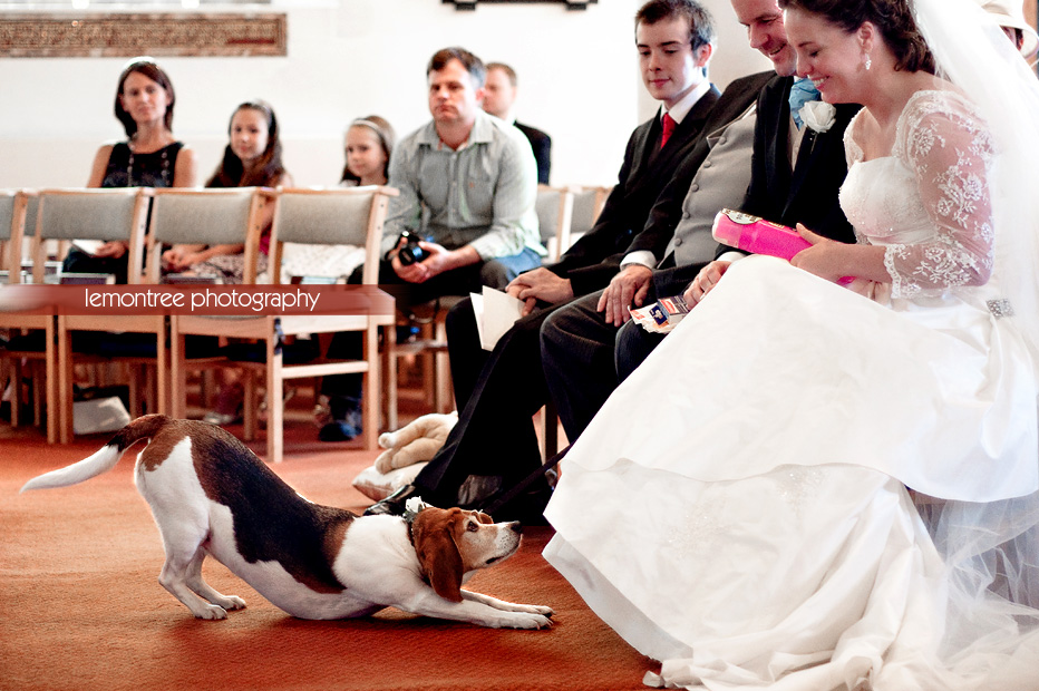 Dog Stretchat wedding-Lemontree Photography