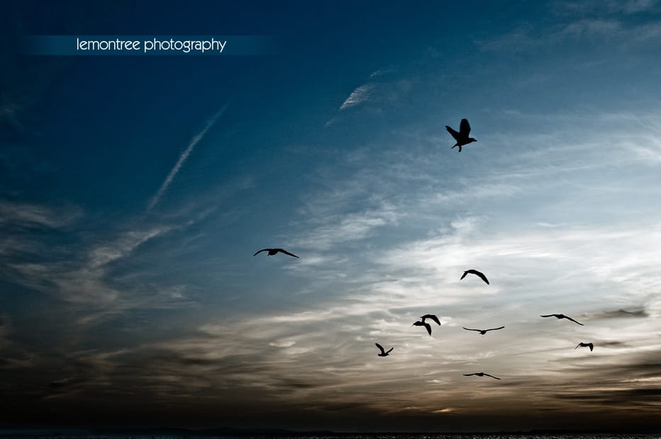 bikers at lepe beach by new forest photographer bikers at lepe beach by new forest photographer