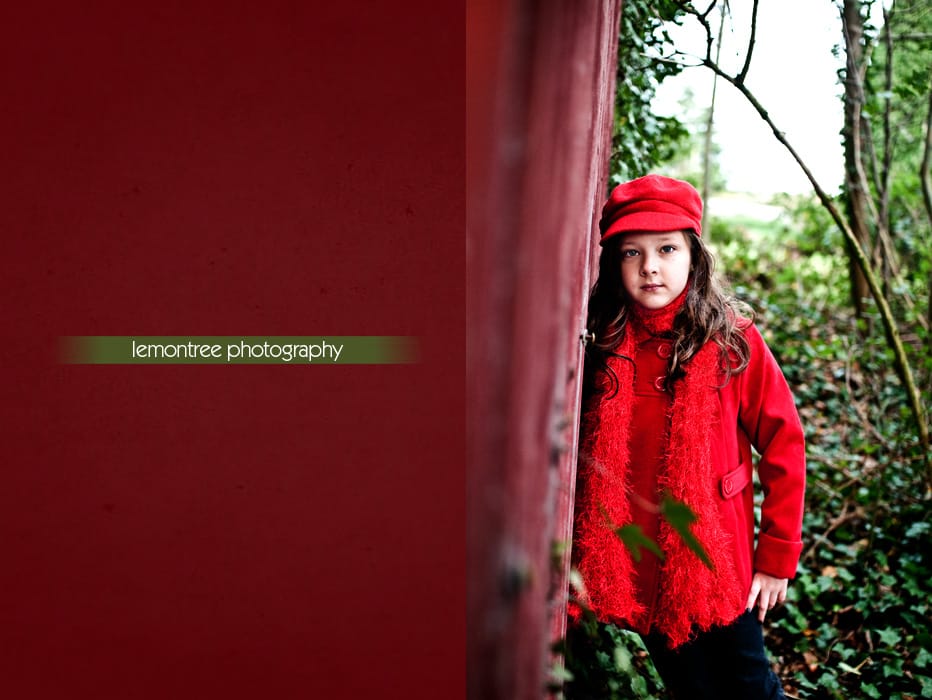 new forest portraits New Forest Portrait Photography
