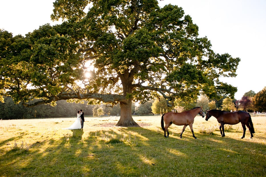 Hill Place Wedding, Swanmore Hampshire