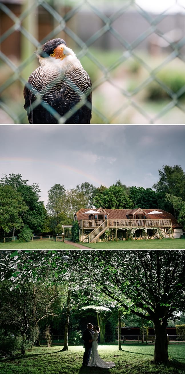 Hawk Conservancy Wedding