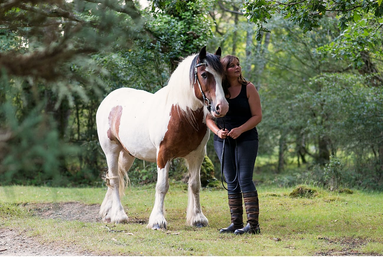 equine-photography-hampshire horse photography in hampshire