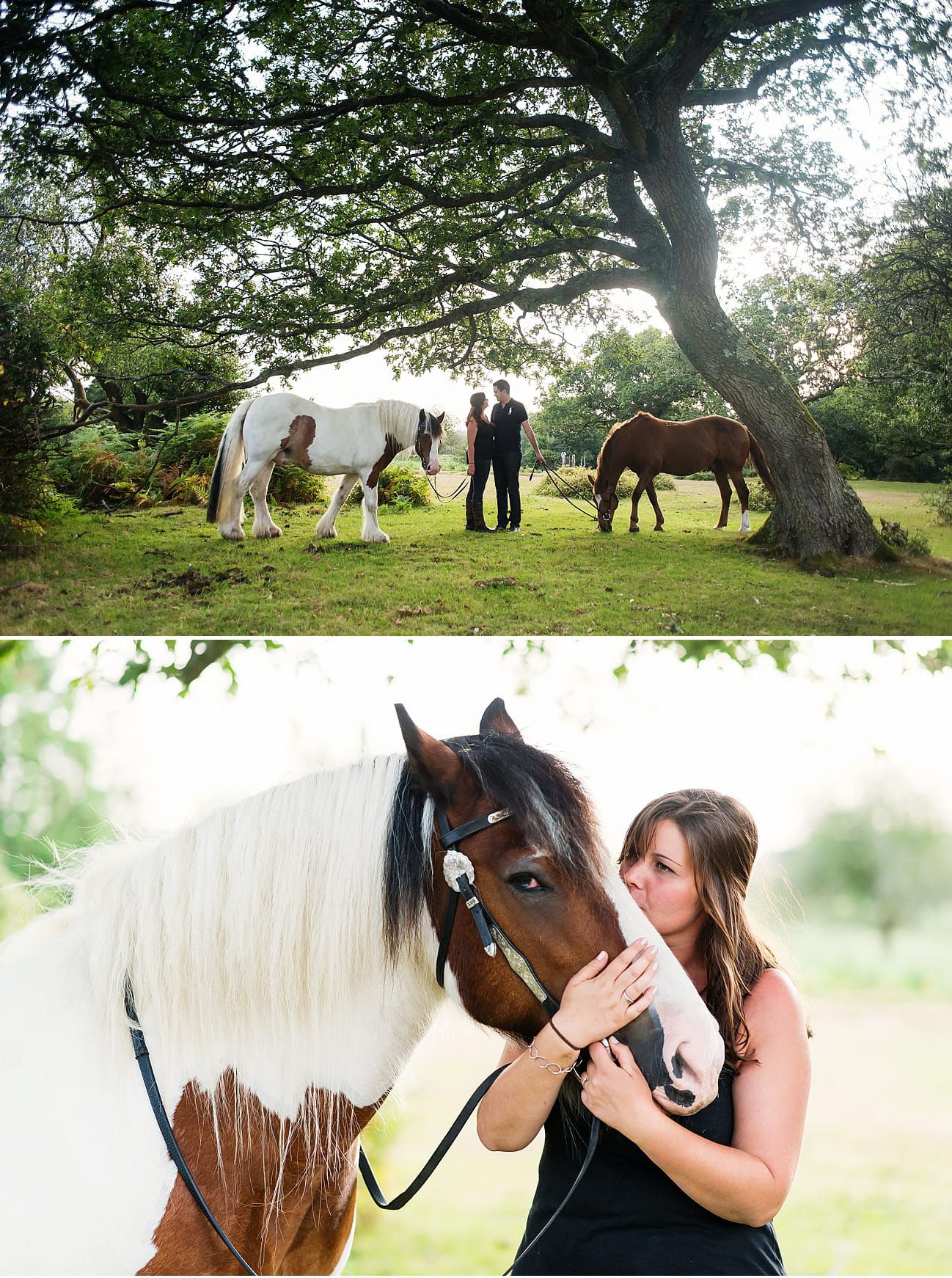 new-forest-equine-photographer new forest equine photographer
